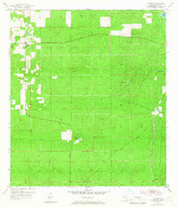 Lecanto Florida Historical topographic map, 1:24000 scale, 7.5 X 7.5 Minute, Year 1954
