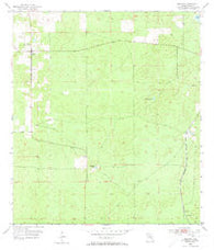 Lecanto Florida Historical topographic map, 1:24000 scale, 7.5 X 7.5 Minute, Year 1954