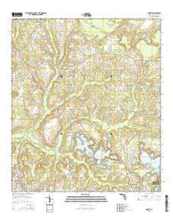 Liberty Florida Current topographic map, 1:24000 scale, 7.5 X 7.5 Minute, Year 2015