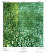 Lone Palm Head Florida Historical topographic map, 1:24000 scale, 7.5 X 7.5 Minute, Year 1973