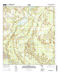Lower Myakka Lake Florida Current topographic map, 1:24000 scale, 7.5 X 7.5 Minute, Year 2015