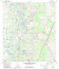 Lutz Florida Historical topographic map, 1:24000 scale, 7.5 X 7.5 Minute, Year 1974