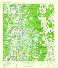 Lutz Florida Historical topographic map, 1:24000 scale, 7.5 X 7.5 Minute, Year 1943
