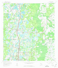 Lutz Florida Historical topographic map, 1:24000 scale, 7.5 X 7.5 Minute, Year 1943