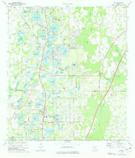 Lutz Florida Historical topographic map, 1:24000 scale, 7.5 X 7.5 Minute, Year 1974