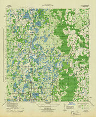 Lutz Florida Historical topographic map, 1:31680 scale, 7.5 X 7.5 Minute, Year 1944