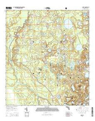 Lynne Florida Current topographic map, 1:24000 scale, 7.5 X 7.5 Minute, Year 2015