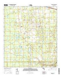Madison SE Florida Current topographic map, 1:24000 scale, 7.5 X 7.5 Minute, Year 2015