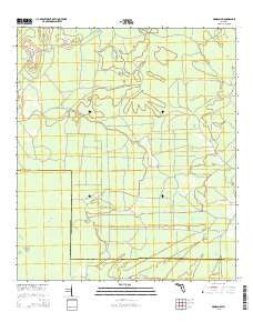 Madison SW Florida Current topographic map, 1:24000 scale, 7.5 X 7.5 Minute, Year 2015
