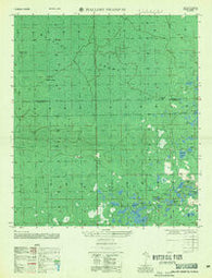 Mallory Swamp SE Florida Historical topographic map, 1:25000 scale, 7.5 X 7.5 Minute, Year 1956