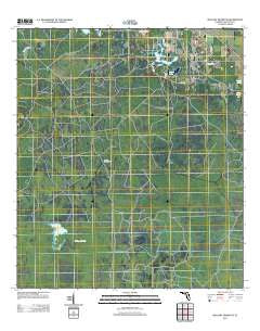 Mallory Swamp NE Florida Historical topographic map, 1:24000 scale, 7.5 X 7.5 Minute, Year 2012