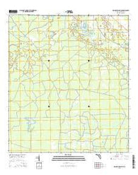 Mallory Swamp NE Florida Current topographic map, 1:24000 scale, 7.5 X 7.5 Minute, Year 2015