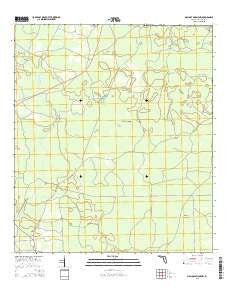 Mallory Swamp NW Florida Current topographic map, 1:24000 scale, 7.5 X 7.5 Minute, Year 2015