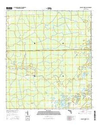 Mallory Swamp SE Florida Current topographic map, 1:24000 scale, 7.5 X 7.5 Minute, Year 2015