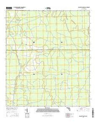 Mallory Swamp SW Florida Current topographic map, 1:24000 scale, 7.5 X 7.5 Minute, Year 2015