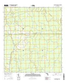 Mallory Swamp SW Florida Current topographic map, 1:24000 scale, 7.5 X 7.5 Minute, Year 2015