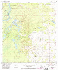 Manatee Springs Florida Historical topographic map, 1:24000 scale, 7.5 X 7.5 Minute, Year 1954