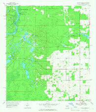 Manatee Springs Florida Historical topographic map, 1:24000 scale, 7.5 X 7.5 Minute, Year 1954