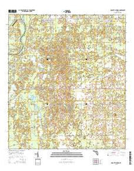 Manatee Springs Florida Current topographic map, 1:24000 scale, 7.5 X 7.5 Minute, Year 2015
