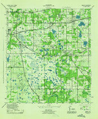 Mango Florida Historical topographic map, 1:31680 scale, 7.5 X 7.5 Minute, Year 1944
