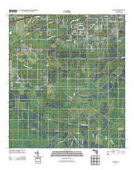 Manning Florida Historical topographic map, 1:24000 scale, 7.5 X 7.5 Minute, Year 2012