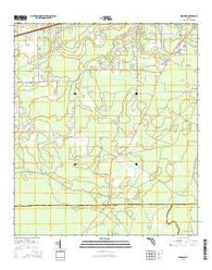 Manning Florida Current topographic map, 1:24000 scale, 7.5 X 7.5 Minute, Year 2015