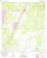 Masaryktown Florida Historical topographic map, 1:24000 scale, 7.5 X 7.5 Minute, Year 1954