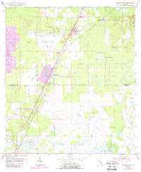 Masaryktown Florida Historical topographic map, 1:24000 scale, 7.5 X 7.5 Minute, Year 1954