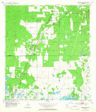 Masaryktown Florida Historical topographic map, 1:24000 scale, 7.5 X 7.5 Minute, Year 1954