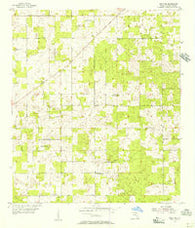 Mayo NE Florida Historical topographic map, 1:24000 scale, 7.5 X 7.5 Minute, Year 1955