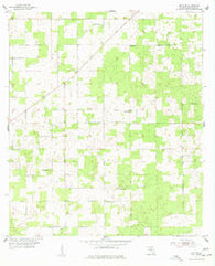 Mayo NE Florida Historical topographic map, 1:24000 scale, 7.5 X 7.5 Minute, Year 1955