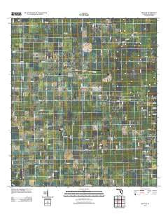 Mayo NE Florida Historical topographic map, 1:24000 scale, 7.5 X 7.5 Minute, Year 2012