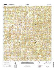 Mayo NE Florida Current topographic map, 1:24000 scale, 7.5 X 7.5 Minute, Year 2015