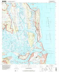 Mayport Florida Historical topographic map, 1:24000 scale, 7.5 X 7.5 Minute, Year 1994