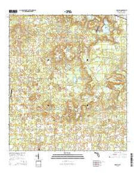McAlpin Florida Current topographic map, 1:24000 scale, 7.5 X 7.5 Minute, Year 2015