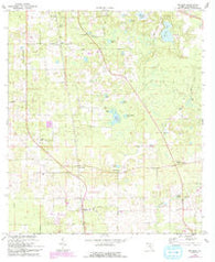 McAlpin Florida Historical topographic map, 1:24000 scale, 7.5 X 7.5 Minute, Year 1969