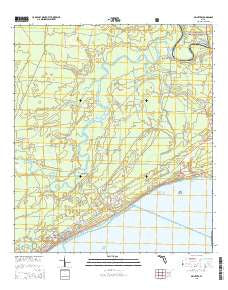 McIntyre Florida Current topographic map, 1:24000 scale, 7.5 X 7.5 Minute, Year 2015