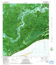 McIntyre Florida Historical topographic map, 1:24000 scale, 7.5 X 7.5 Minute, Year 1982