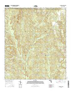 McLellan Florida Current topographic map, 1:24000 scale, 7.5 X 7.5 Minute, Year 2015