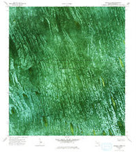 Melaleuca Head Florida Historical topographic map, 1:24000 scale, 7.5 X 7.5 Minute, Year 1973