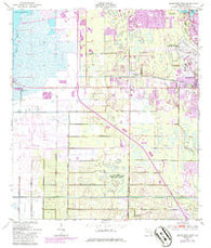 Melbourne West Florida Historical topographic map, 1:24000 scale, 7.5 X 7.5 Minute, Year 1949