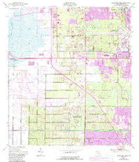 Melbourne West Florida Historical topographic map, 1:24000 scale, 7.5 X 7.5 Minute, Year 1949