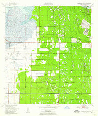 Melbourne West Florida Historical topographic map, 1:24000 scale, 7.5 X 7.5 Minute, Year 1949