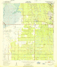 Melbourne West Florida Historical topographic map, 1:24000 scale, 7.5 X 7.5 Minute, Year 1951