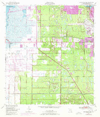 Melbourne West Florida Historical topographic map, 1:24000 scale, 7.5 X 7.5 Minute, Year 1949