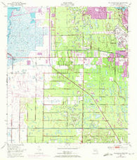Melbourne West Florida Historical topographic map, 1:24000 scale, 7.5 X 7.5 Minute, Year 1949