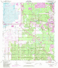 Melbourne West Florida Historical topographic map, 1:24000 scale, 7.5 X 7.5 Minute, Year 1949