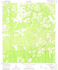 Middleburg SW Florida Historical topographic map, 1:24000 scale, 7.5 X 7.5 Minute, Year 1949
