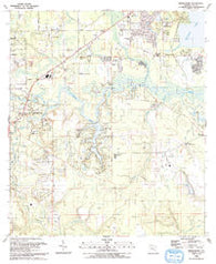 Middleburg Florida Historical topographic map, 1:24000 scale, 7.5 X 7.5 Minute, Year 1993