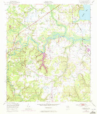 Middleburg Florida Historical topographic map, 1:24000 scale, 7.5 X 7.5 Minute, Year 1949